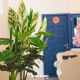 Residencial Filipa